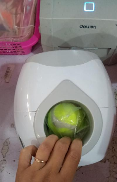 Smart Pet Feeder and Tennis Ball Tosser