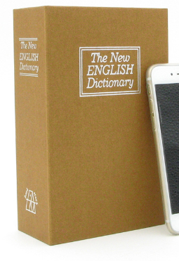 Dictionary Book Safe