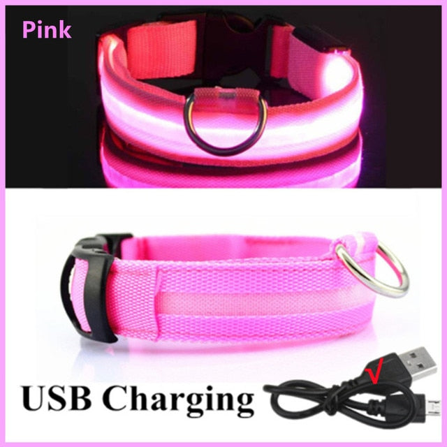 Illuminated Dog Collar