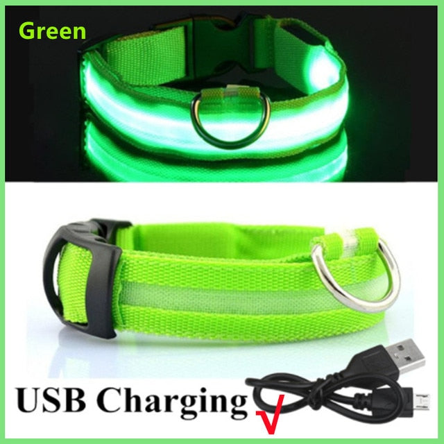 Illuminated Dog Collar