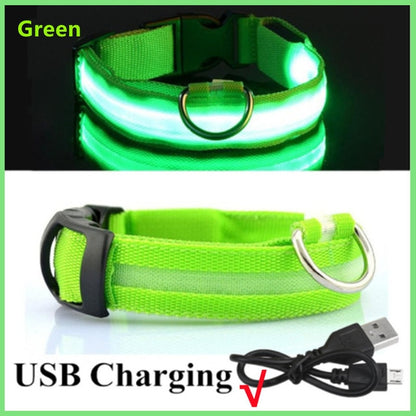 Illuminated Dog Collar