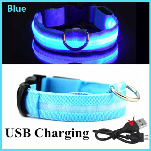 Illuminated Dog Collar