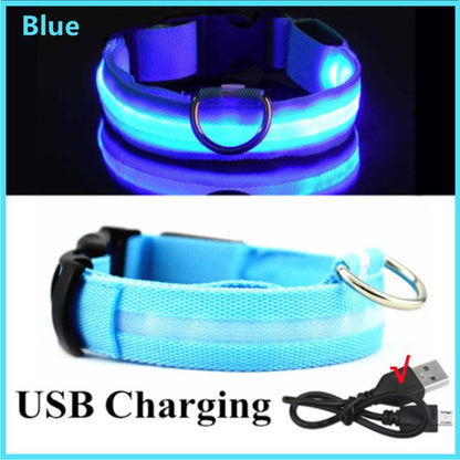 Illuminated Dog Collar