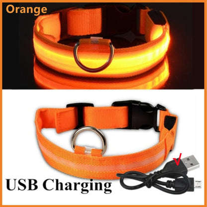 Illuminated Dog Collar