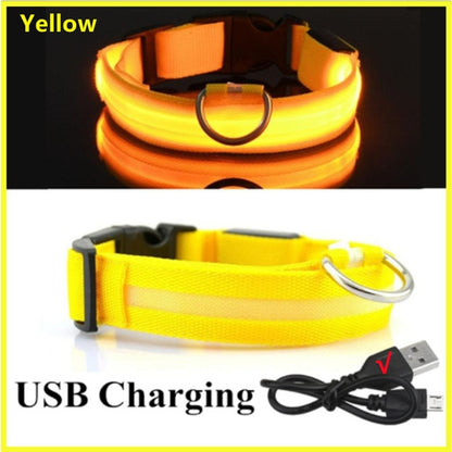 Illuminated Dog Collar