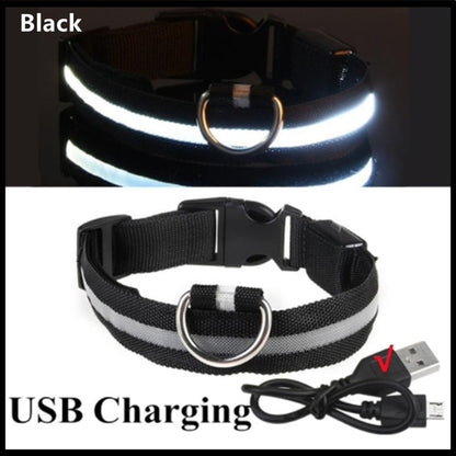 Illuminated Dog Collar