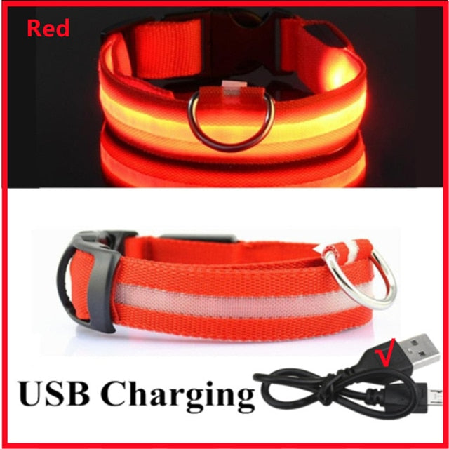 Illuminated Dog Collar