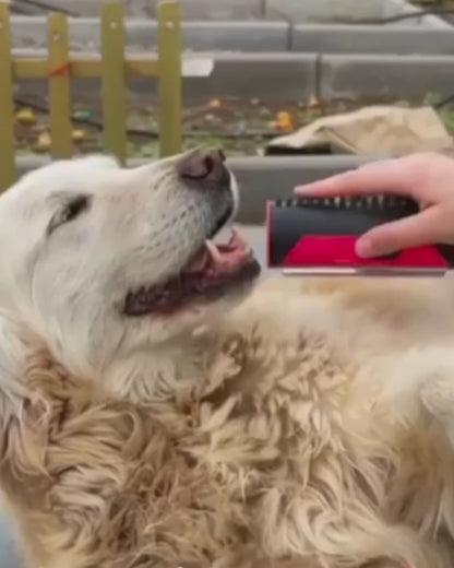 Pet Hair Remover Brush