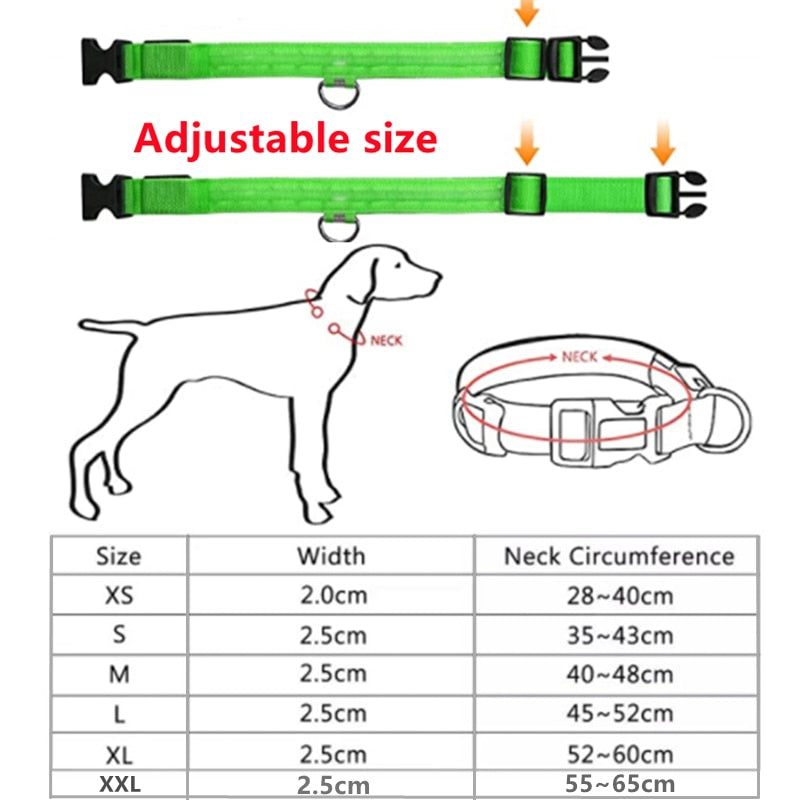 Illuminated Dog Collar
