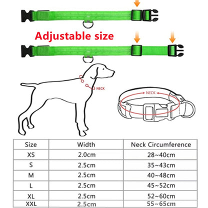 Illuminated Dog Collar