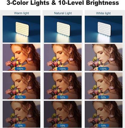 Adjustable High Power LED Light