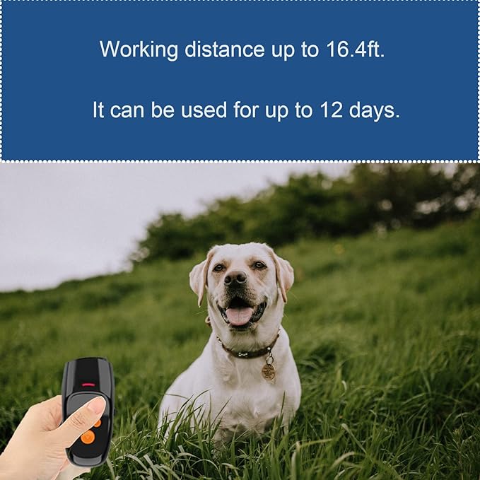 Barking Control Device