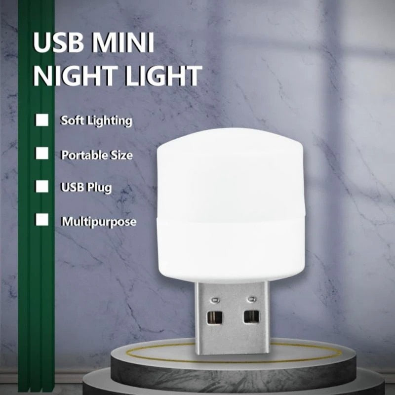5V 1W Mini USB Plug Lamp