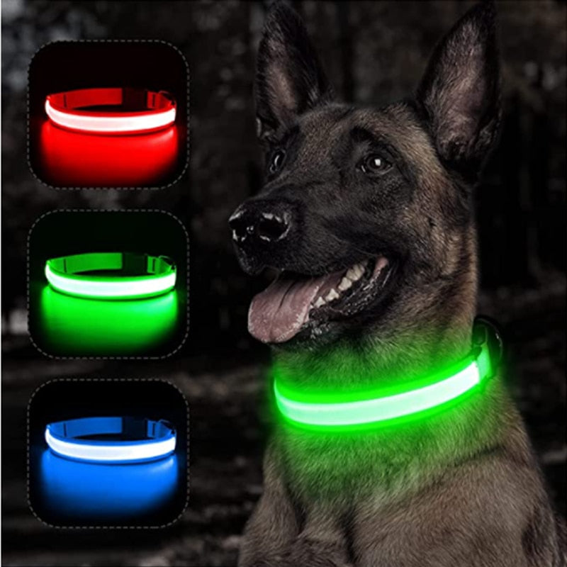 Illuminated Dog Collar