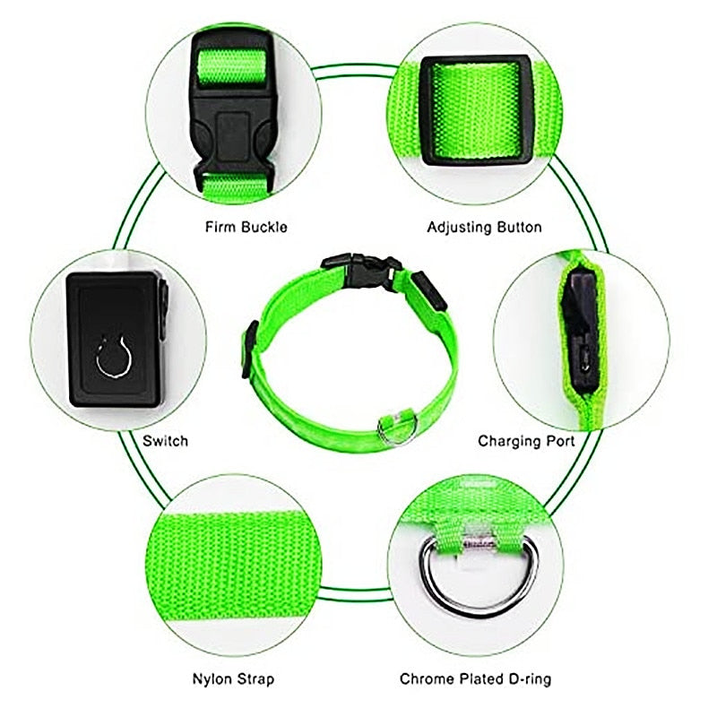 Illuminated Dog Collar