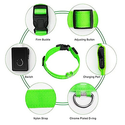 Illuminated Dog Collar