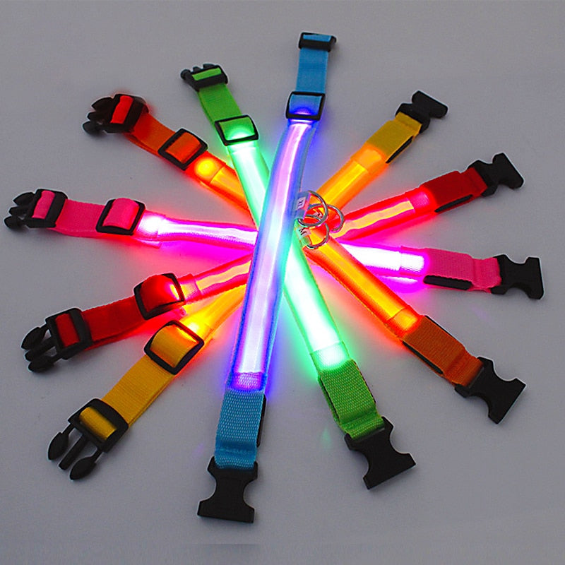Illuminated Dog Collar