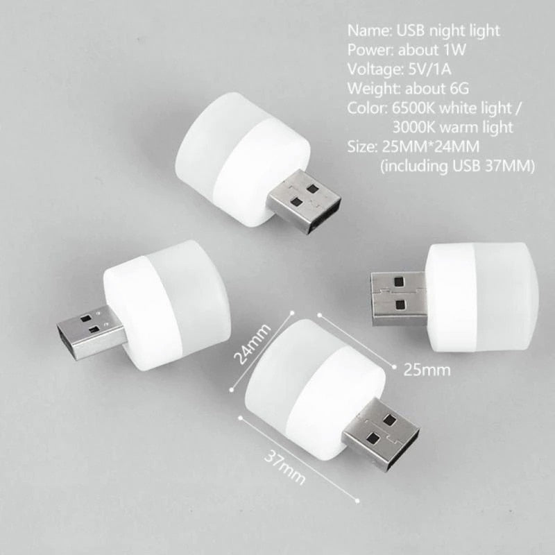 5V 1W Mini USB Plug Lamp