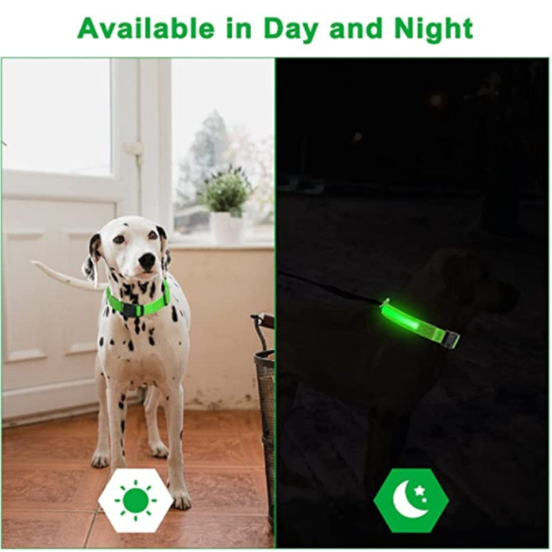 Illuminated Dog Collar